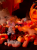 IMG_0798 1.png